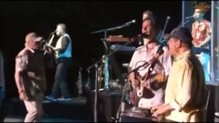 Beach Boys SurfinUSA Live Japan 2012 [upl. by Ohl527]