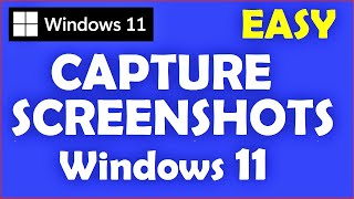 Take Screenshot in Windows 11 [upl. by Sherie]