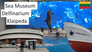 Sea Museum Delfinarium and Klaipeda [upl. by Rame991]