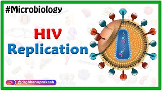 HIV Replication  Microbiology Medical Animations [upl. by Dazraf50]