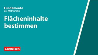 Flächeninhalte bestimmen  Fundamente der Mathematik  Erklärvideo [upl. by Valeta]