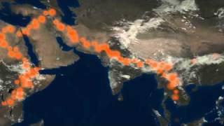 Human Origins Expanding World of Homo Erectus [upl. by Aillemac330]