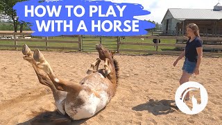 HOW TO PLAY WITH A HORSE [upl. by Peppard]