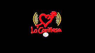 La Cariñosa  RCN Radio [upl. by Ahsemad805]