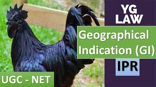 Protection of Geographical Indications  YG Law [upl. by Vic47]