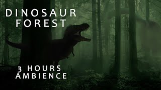 Dinosaur Forest  3 hours  Dinosaur Ambience  Jurassic Park Ambience  Dinosaur and Forest Sounds [upl. by Valerlan673]