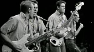 Beach Boys  SurfinUSA 1964  HD [upl. by Eelegna]