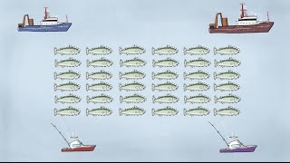 Fisheries Economics amp Policy Intro to Fisheries Management [upl. by Leighland]