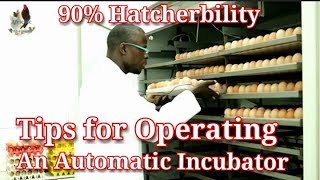 How to set amp operate an Automatic egg incubator  How to set up a hatchery [upl. by Kraska]