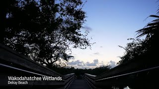 Wakodahatchee Wetlands [upl. by Nimar]