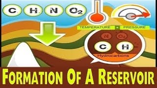 Formation Of Reservoir Rock  Oil amp Gas Animations [upl. by Nasho]