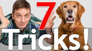 7 Dog Tricks in 5 Minutes [upl. by Miki]