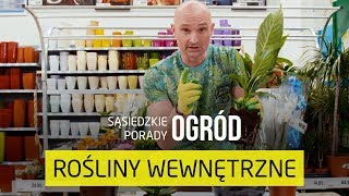 Jak przesadzać rośliny doniczkowe Sąsiedzie Porady – Ogród [upl. by Nevets515]