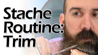 Beard Routine Mustache Trim [upl. by Santana]