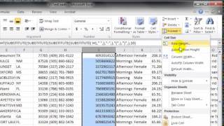 Reformatting Phone Numbers with Excel [upl. by Spratt]