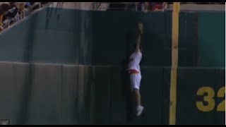 MLB Great Catches By Ballgirls [upl. by Wardlaw]