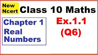 Class 10 Maths  Ex11 Q6  Chapter 1  Real Numbers  New NCERT [upl. by Lundquist]