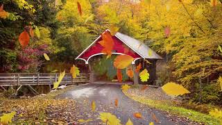 Peaceful music Relaxing music Instrumental music quotAutumn Leaves Tim Janis [upl. by Enitnatsnoc725]