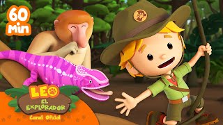 1 HORA CON REPTILES Y CRIATURAS DE LA SELVA  Leo El Explorador  Animación  compilación [upl. by Akeihsal]