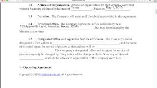 Write a Free Single Member LLC Operating Agreement  PDF  Word [upl. by Shaum]