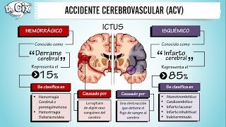 ACCIDENTE CEREBROVASCULAR  Ciencias Básicas [upl. by Suoivatra901]