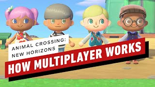 How Multiplayer Works in Animal Crossing New Horizons [upl. by Yecal]