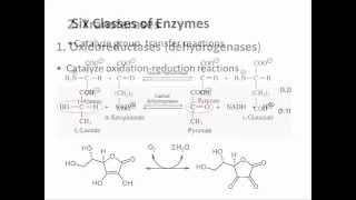 Biochemistry 94 Enzyme classification [upl. by Strawn]