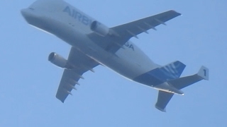 Nikon P900 Zooming In On Planes [upl. by Anaujait]