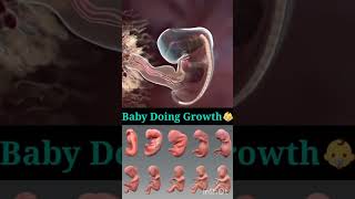 Fetus heart development [upl. by Navar]