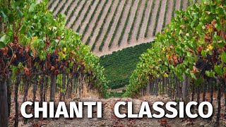 Great Italian Wines CHIANTI CLASSICO [upl. by Ailev307]