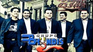 Grupo Bryndis Solo Exitos Mix [upl. by Ahsil606]