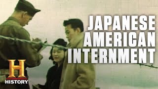 JapaneseAmerican Internment During WWII  History [upl. by Alguire]