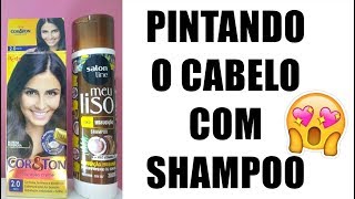 COMO PINTAR O CABELO USANDO SHAMPOO  ATUALIZADO [upl. by Matlick144]