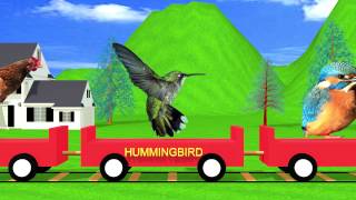 Bird Train Easy Learning for Kids  HD Animation [upl. by Larry]