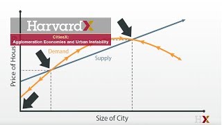 Agglomeration Economies and Urban Instability [upl. by Gilmore]