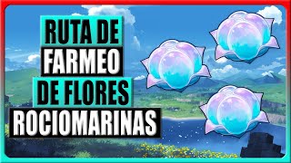 Genshin Impact 40  Localizaciones de TODAS las FLORES ROCIOMARINAS [upl. by Eednas]