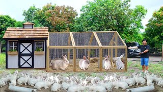 Building cheap rabbit hutch for my 60 bunnies How much did i spend [upl. by Reiner]