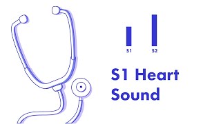 S1 Heart Sound  Learn How to Auscultate Part 8 [upl. by Bullard710]