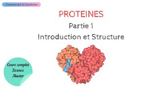 PROTÉINES  INTRODUCTION ET STRUCTURE  Biochimie Facile [upl. by Tannenwald]