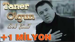 Taner Olgun  Deli Gönül  Beğenmiyorum Halini [upl. by Mannie]