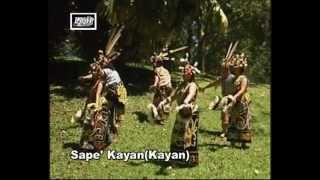 Sape Kayan Kayan [upl. by Wendie]