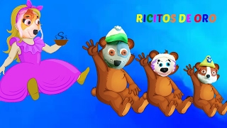 RICITOS DE ORO y los Tres Osos  3 Ositos 🐻 PATRULLA CANINA🐻 Cuento infantil en español [upl. by Griffis]