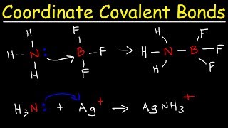 What is a Coordinate Covalent Bond [upl. by Anuahsal847]