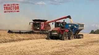 Case IH 9240 AxialFlow Combines Harvesting Soybeans [upl. by Aretta]