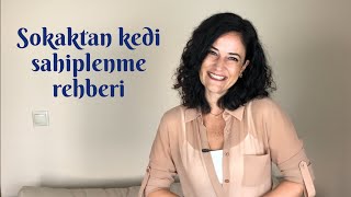 Sokaktan kedi sahiplenme ve sokak kedisi türleri rehberi [upl. by Elam]