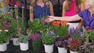 Maximize Your Garden Color With Perennials [upl. by Naginarb]