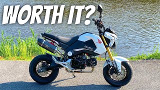 First Ride On A Honda Grom Should I FINALLY Buy One [upl. by Sapphera352]