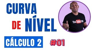 CURVA DE NÍVEL 01 [upl. by Anjanette68]