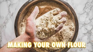 How To Make Your Own Flour At Home [upl. by Derfliw]