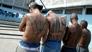 MS13 Americas most dangerous street gang [upl. by Mloc]